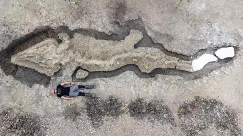 يرجع لـ 180 مليوم عام.. «الإكثيوصور» أعظم الإكتشافات في تاريخ الحفريات البريطانية 3