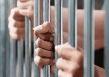 السجن 15 عاما لـ 16متهما بـ «استعراض القوة» بـ منشأة ناصر 1