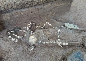اكتشاف مقابر صينية قديمة تحتوي على رفات محاربين دفنوا أحياء.. فيديو 5