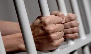 السجن المشدد  6 سنوات وغرامة لنجار مسلح لاتجاره بالمخدرات بـ كفر الشيخ 3