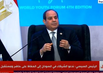 السيسي: استقرار السودان بالغ الأهمية بالنسبة لمصر 2