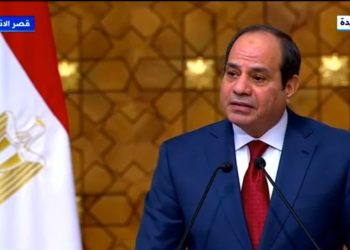 السيسي: توافقنا على ضرورة الحفاظ على حقوق مصر المائية 9