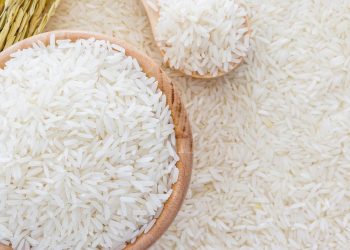 سعر الأرز أوان مصر