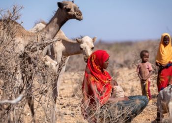 «الحكومة لا تسمع عنا شيئًا».. الصراعات الداخلية في إثيوبيا تقتل المواطنين جوعًا 1