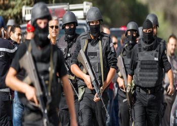 استشهاد ضابط ومقتل 9 عناصر في مداهمة أمنية بالدقهلية 9