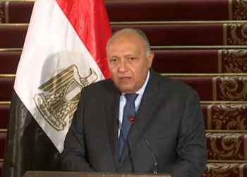 وزير الخارجية: مصر تسعى لـ حل دائم و شامل وعادل للقضية الفلسطنية   3