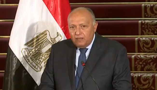 وزير الخارجية: مصر تسعى لـ حل دائم و شامل وعادل للقضية الفلسطنية   1