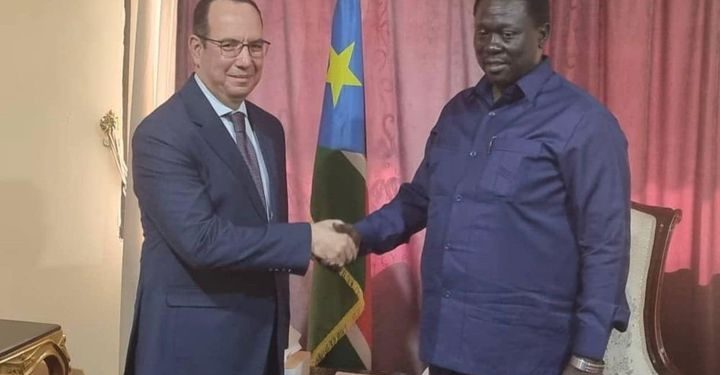 السفير المصري في جوبا يلتقي نائب رئيس جنوب السودان لـ قطاع الخدمات العامة 1