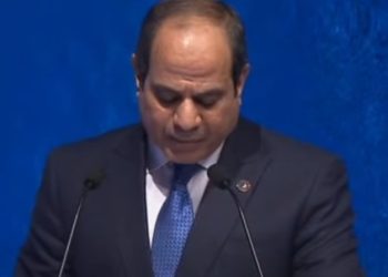 السيسي: مصر تتخذ خطوات حثيثة لـ التحول لمركز للطاقة المتجددة 5