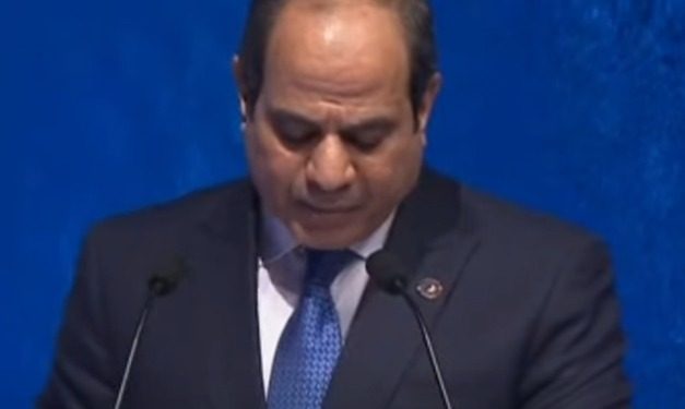 السيسي: مصر تتخذ خطوات حثيثة لـ التحول لمركز للطاقة المتجددة 1