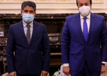 خالد عبدالغفار يبحث مع «الصحة العالمية» إعلان مصر خالية من 4 أمراض في عام 2022