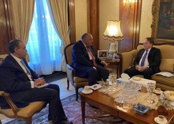 وزير الخارجية يبحث سبل الشراكة بين مصر والاتحاد الأوروبي مع المفوض الأوروبي 2