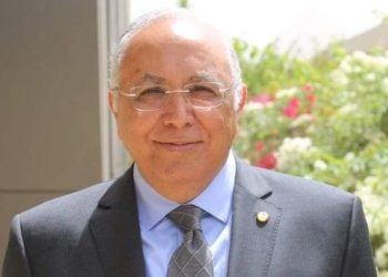 رئيس الجامعة اليابانية : بناء شراكات مع المؤسسات الأكاديمية والبحثية اليابانية الكبرى لخدمة قطاع الصناعة المصري 2