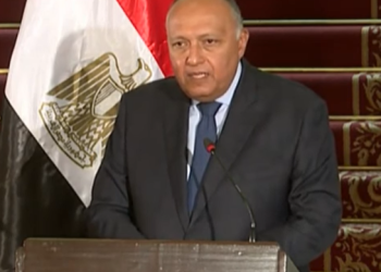 شكري: مصر تسعى دائما إلى حل كافة النزاعات بالوسائل السلمية 2