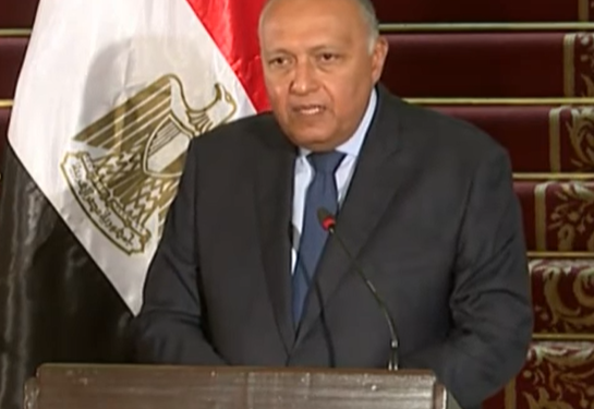 شكري: مصر تسعى دائما إلى حل كافة النزاعات بالوسائل السلمية 1