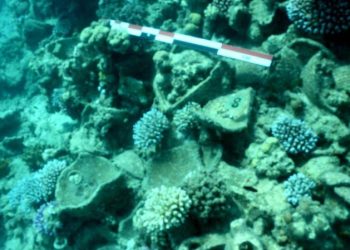 هيئة التراث تكشف سر نجاح البعثة الأثرية الغارقة في البحر الأحمر 1