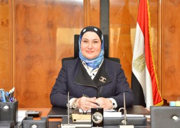 ميرفت سلطان رئيس مجلس إدارة البنك المصرى لتنمية الصادرات