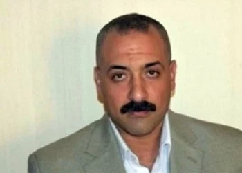 حاتم النجيب، نائب رئيس شعبة الخضروات