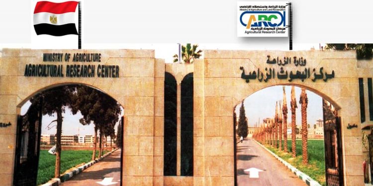 مركز البحوث الزراعية المصري يحتل المرتبة الأولى على مستوى القارة 1