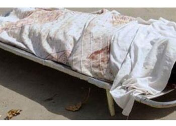 مقتل عامل وتقطيع جثته على يد شقيقين بمنشأة ناصر