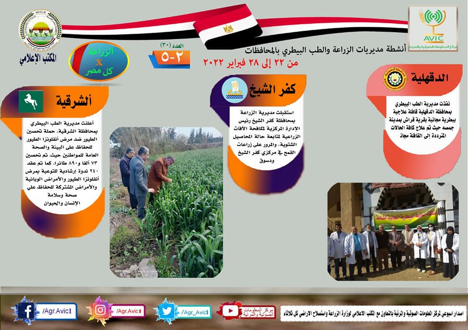 انفوجراف وفيديو| "الزراعة في كل مصر".. تعرف على أنشطة وجهود مديريات الزراعة والطب البيطري