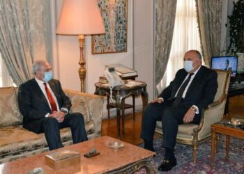 وزير الخارجية يؤكد دعم مصر المتواصل للقضية الفلسطينية 1
