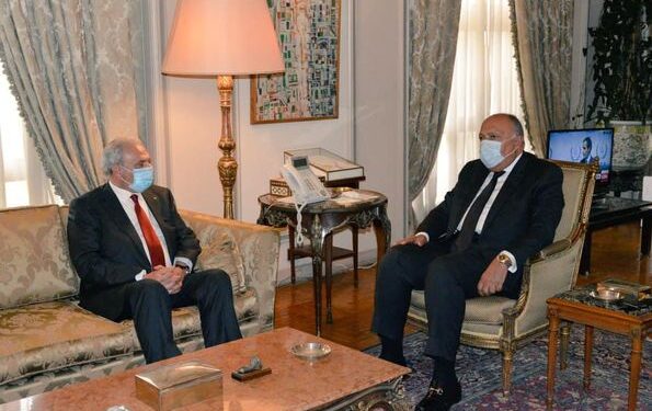 وزير الخارجية يؤكد دعم مصر المتواصل للقضية الفلسطينية 1