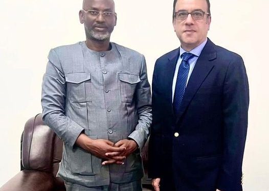 السفير المصري في بوروندي يلتقي وزير الكهرباء والطاقة 1