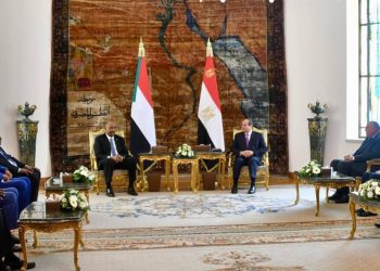 بيان مشترك لزيارة رئيس مجلس السيادة الانتقالي السوداني إلى جمهورية مصر العربية 3