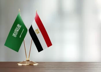 المركزي: ارتفاع التبادل التجارى بين مصر والسعودية 62.1% خلال 2021 1