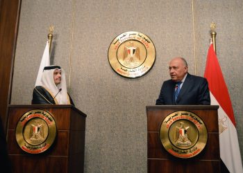 شكري يعلن تشكيل لجنة «مصرية- قطرية» مشتركة لـ تعزيز العلاقات بين البلدين