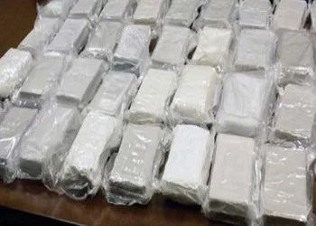 القبض على عاطلين بحوزتهما كمية من مخدر الهيروين فى كوم أمبو 8