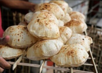 مجلس الوزراء يعلن تسعير الخبز الحر بإقرار حافز إضافي 1