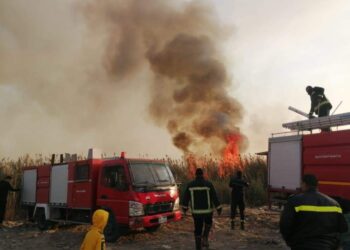 محافظة الإسماعيلية تصدر بيان بخصوص اندلاع حريق هائل بعزبة الحلوس 4