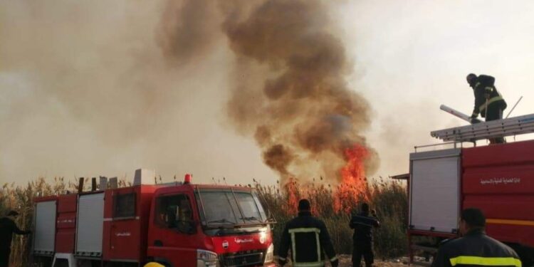 محافظة الإسماعيلية تصدر بيان بخصوص اندلاع حريق هائل بعزبة الحلوس 1
