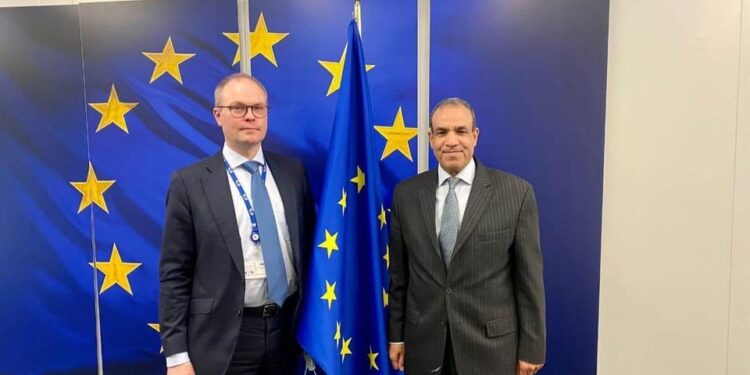 السفير المصري في بروكسل يناقش تنفيذ مخرجات القمة الإفريقية مع مدير مكتب المفوضة الأوروبية 1