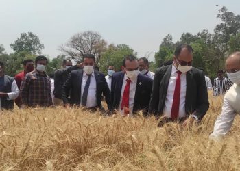 وزير الزراعة يعلن اعتماد الهند كمنشأ جديد لاستيراد القمح 1