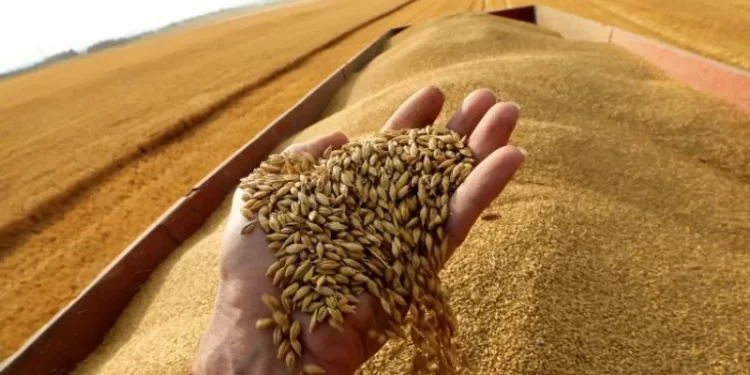 البنك الدولي يدعم مصر بـ 600 مليون دولار لدعم واردات القمح