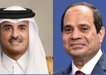 الرئيس السيسي يجري اتصالا هاتفيا مع أمير دولة قطر 1