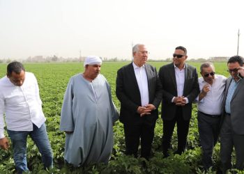 وزير الزراعة يتفقد أحد حقول البطاطس والفراولة تستخدم أساليب الري الحديث 5