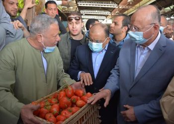 «اشتري من الحكومة ووفر» شعراوي: جميع السلع الغذائية متوافرة وبتخفيضات كبيرة