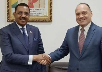 السفير المصري في كوناكري يلتقي وزير الصحة الغيني 1