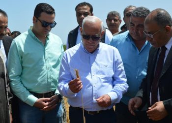 محافظ بورسعيد يتفقد موسم حصاد القمح بأحد الحقول الزراعية