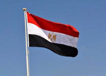 مصر تُعرب عن صادق مواساتها لحكومة وشعب جنوب إفريقيا