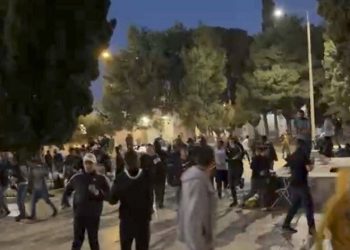 شاهد.. اشتباكات مسلحة بين سرايا القدس والقوات الإسرائيلية في نابلس 4