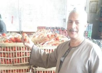 نقيب الفلاحين يكشف أسباب ارتفاع اسعار الطماطم 1