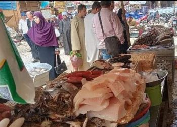 أتعرف على أسعار الأسماك فى محافظة الفيوم