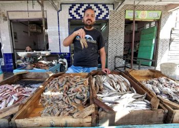 أسعار السمك البلدي بعزبة البرج محافظة دمياط