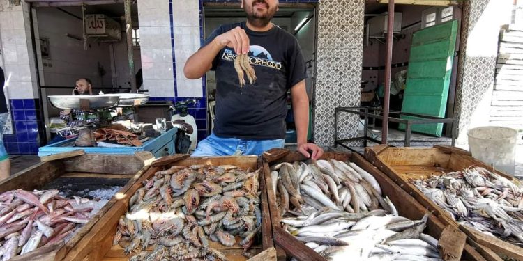 أسعار السمك البلدي بعزبة البرج محافظة دمياط
