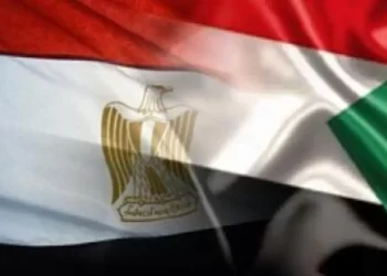مصر والسودان تبحثان المصالح المشتركة لـ شعبي وادي النيل 4